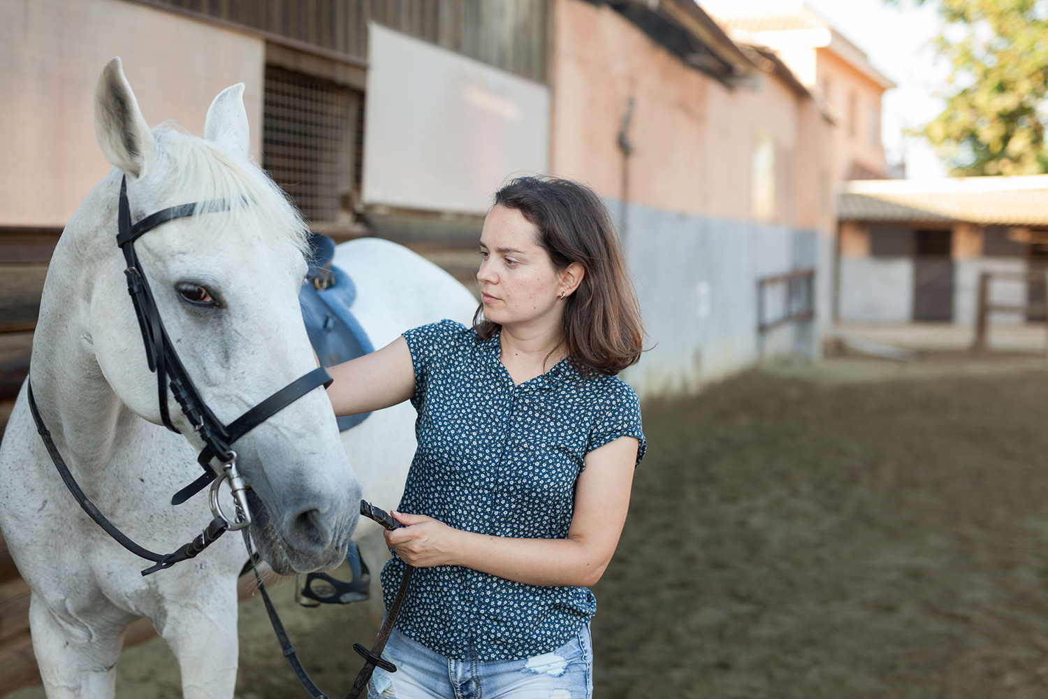 “One Health” collaborates to study multiple antibiotic-resistant bacteria in horses | Handlebar