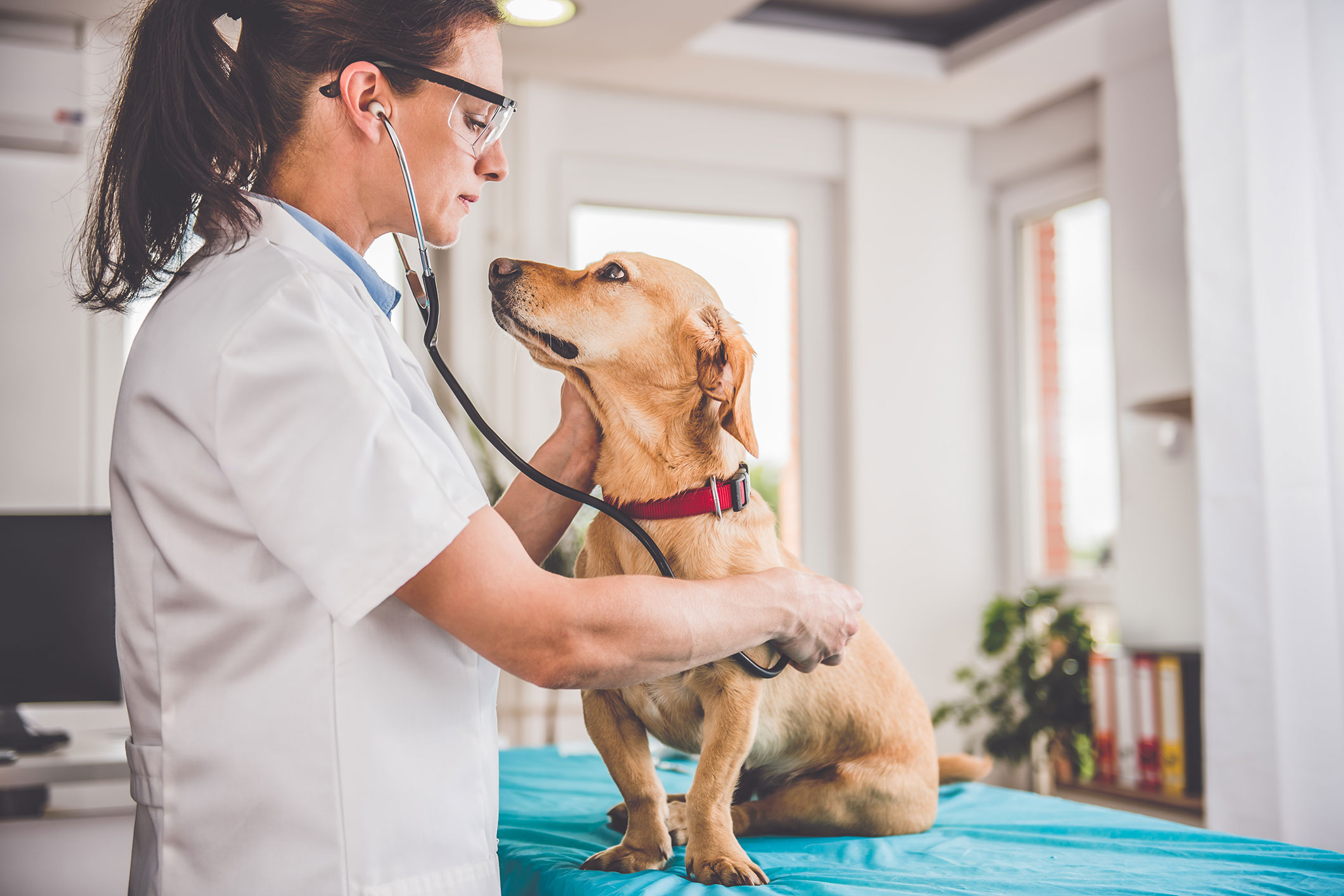 Antibiotic Resistance: For your own health, take care of your animals too! |Handbar