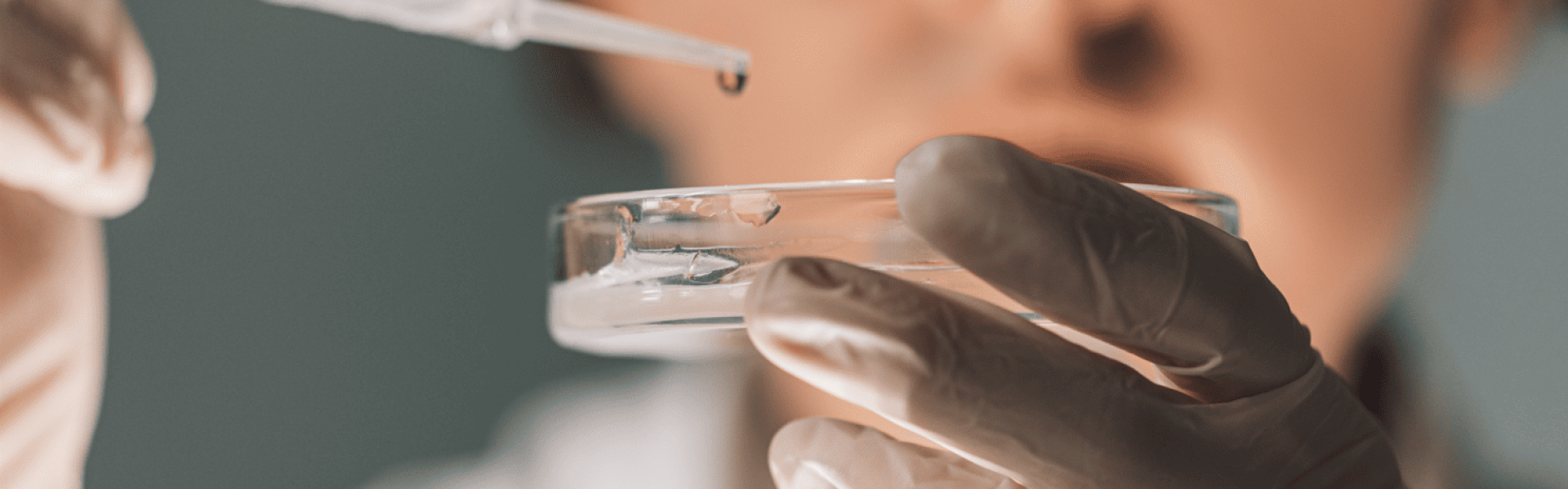 portraits de femmes de sciences