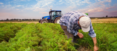 Produits Phytopharmaceutiques