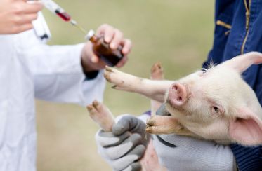 Vaccins vétérinaires